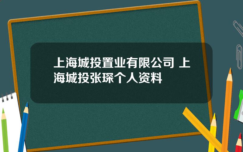 上海城投置业有限公司 上海城投张琛个人资料